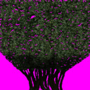 Bushes1Tex1